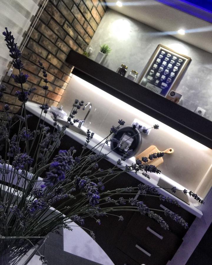 Apartament Gardenlux Vrdnik Zewnętrze zdjęcie