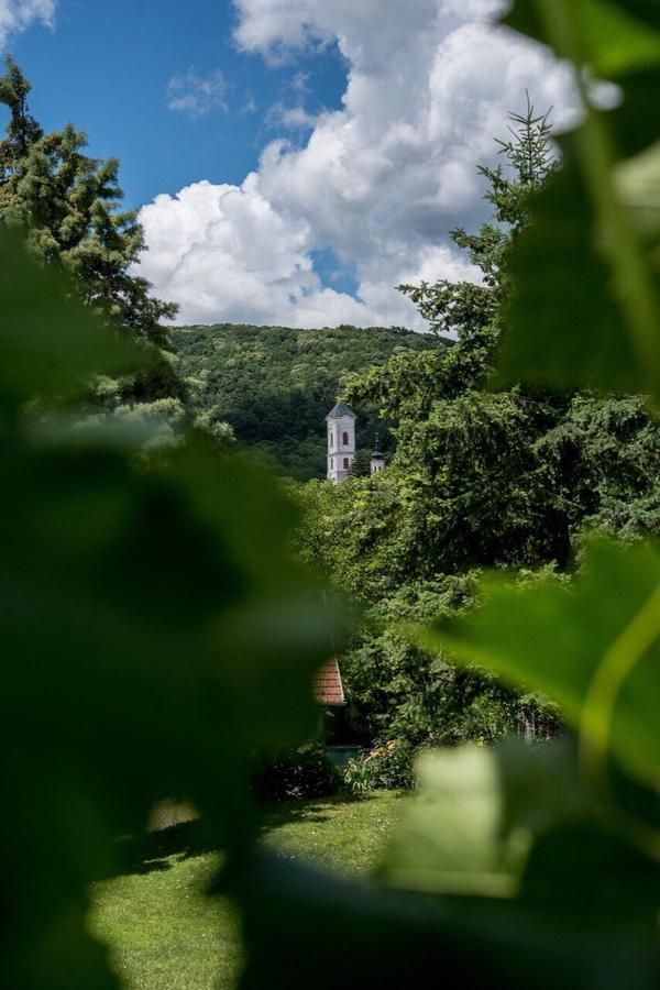 Apartament Gardenlux Vrdnik Zewnętrze zdjęcie